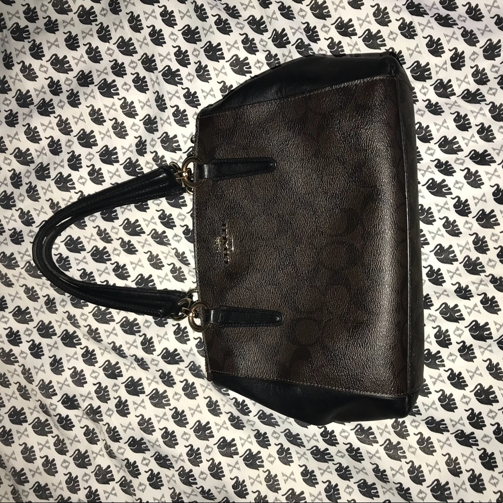 Coach Christie carryall mini